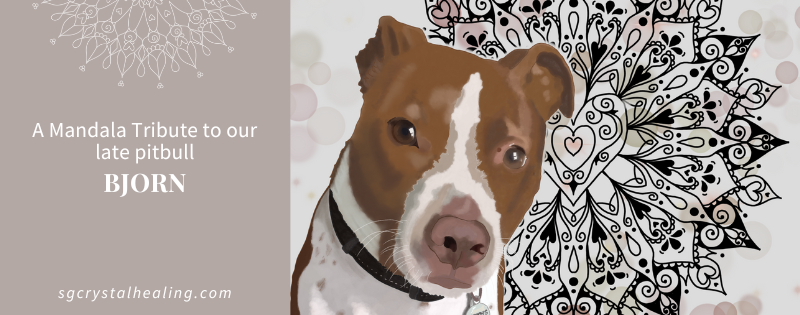 A Mandala Tribute to our Late Pitbull, Bjorn